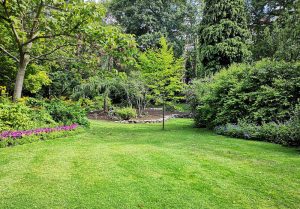 Optimiser l'expérience du jardin à Tivernon